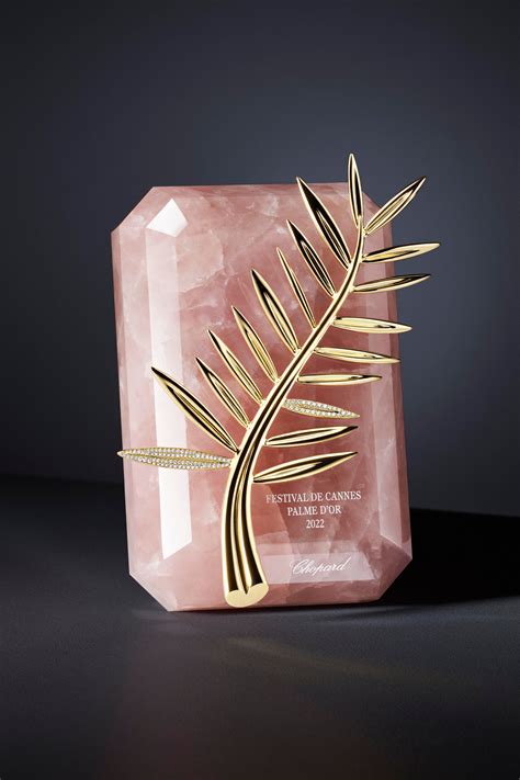 dior cannes 2022|Palme d'Or .